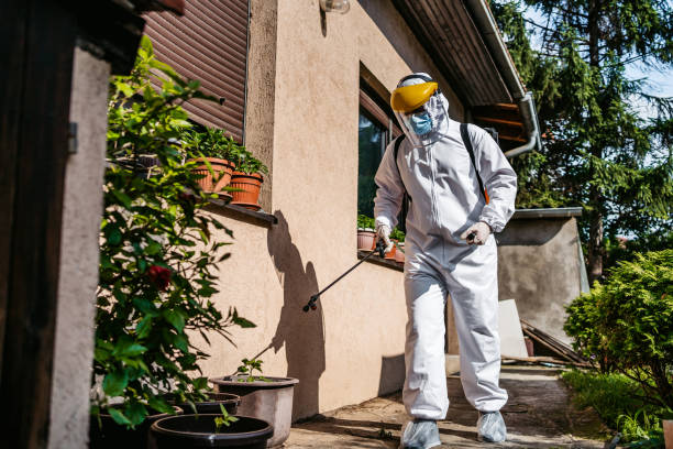 Best Pest Removal Services  in USA